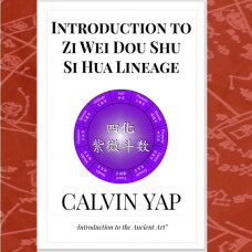 Introduction to Zi Wei Dou Shu